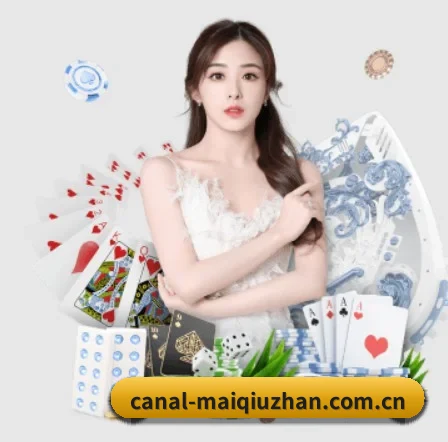 持续创新 - 布局下一代休闲娱乐生态,持续引领行业创新发展。