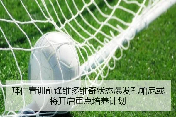 拜仁青训前锋维多维奇状态爆发孔帕尼或将开启重点培养计划